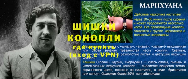 сатива Горнозаводск