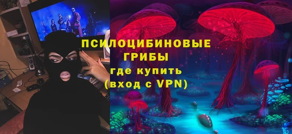 сатива Горнозаводск